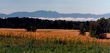 Morning mist rising over the lower fields of Martin Van Buren's farm.